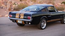 1965 FORD MUSTANG FASTBACK SHELBY GT350H HERTZ TRIBUTE