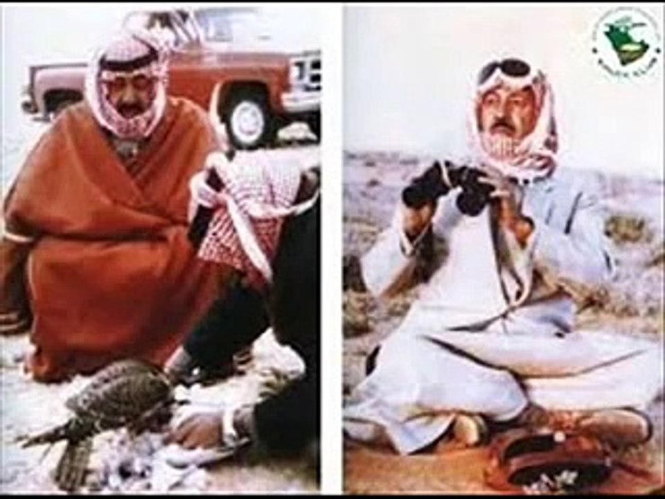 شيلة الكشتة