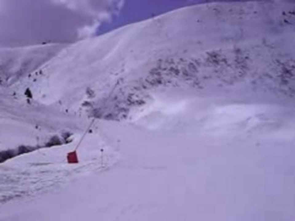 les chiens de la casse au ski