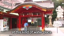 How to Visit a Shinto Shrine