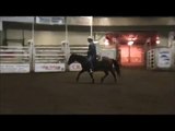 DC TwoEyes PicsPride - bay AQHA gelding for sale