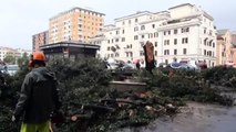 Maltempo a Roma: cade un albero, ferita una passante