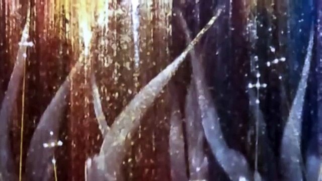 Пение Ангелов на Святой Горе Афон