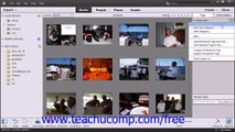 Photoshop Elements 12 Tutorial Creating New Tag Categories Adobe Training Lesson 2.13