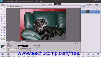 Photoshop Elements 12 Tutorial The Magic Eraser Tool Adobe Training Lesson 6.8