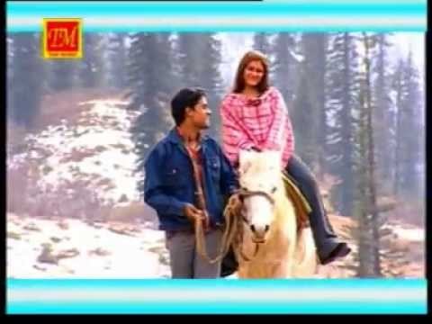 Meri Laila | New Himachali Song | TM Music | Pop Song