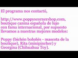 Pelea de perros en AR: Poppy y la perrita de Paulina Rubio