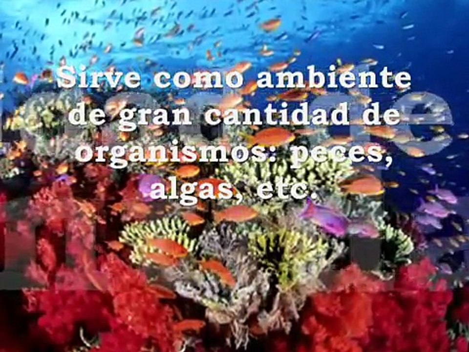 Importancia del agua en la naturaleza