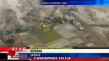 tsunami en japon