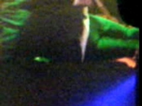 Concert Deathstars 02/04/07