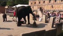 Hannover Zoo Elefanten Mutter-Kind-Turnen