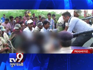 Gujarat Floods: 150 blue bulls found dead - Tv9 Gujarati