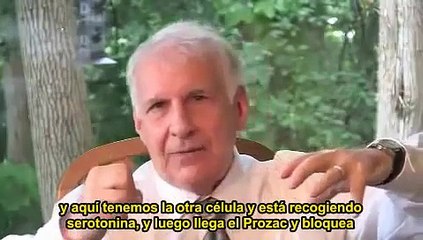Dr. Peter Breggin: ¿tiene usted un desequilibrio bioquímico?