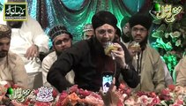 Hafiz Muhammad Tahir Qadri Shan Sadiqui Akbar