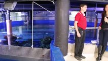 Malta National Aquarium behind the scenes