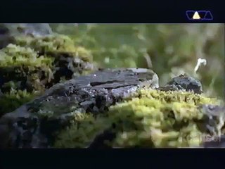 Dune - Who wants to live forever