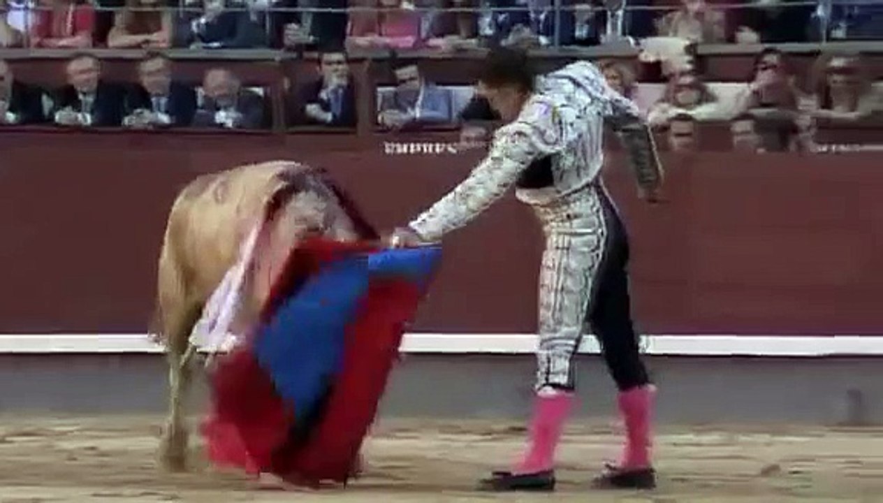 Boğanın intikamı !