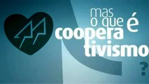 2012 - Ano Internacional do Cooperativismo - O que são cooperativas?