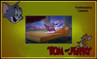 Tom And Jerry Cartoon - Springtime For Thomas Том и Джери 2015 | acun alp