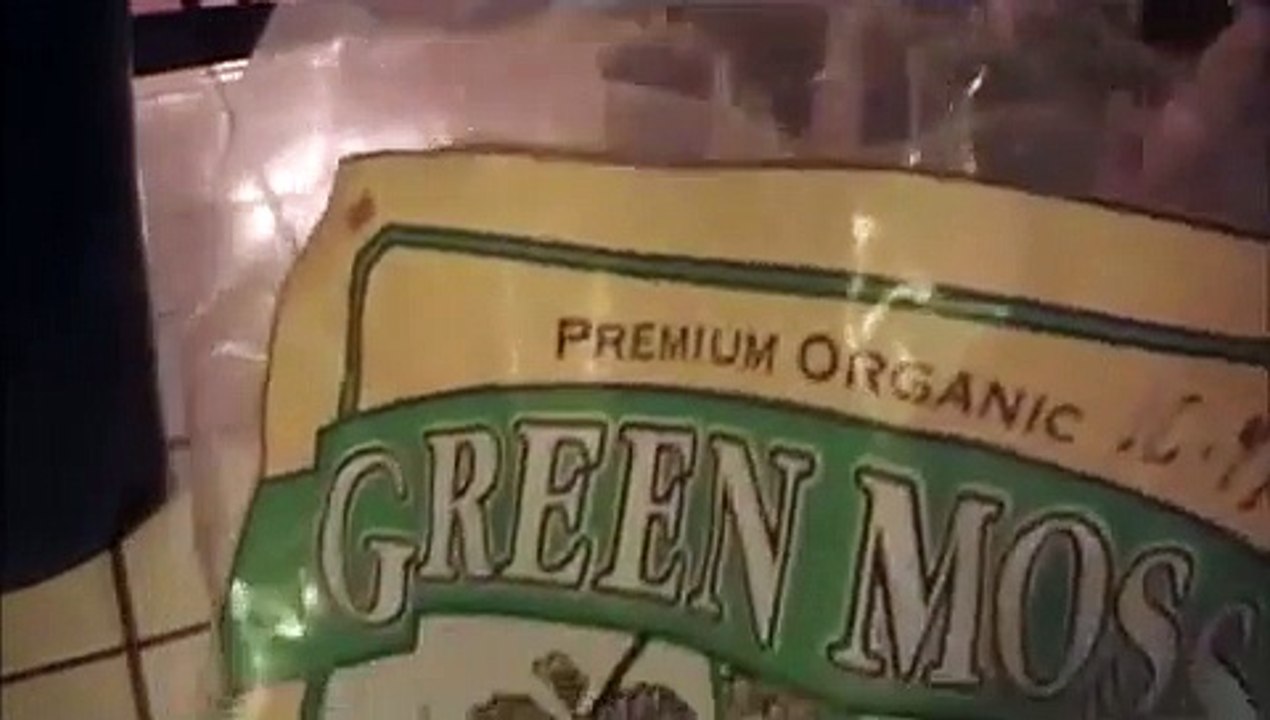 How to Grow Your Own Fig Trees From Cuttings