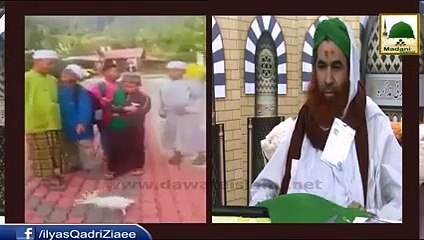 Subhan Allah, Kya parinda bhi Allah ka Zikr sun kar jhoom sakta hai? ~ Maulna Ilyas Qadri