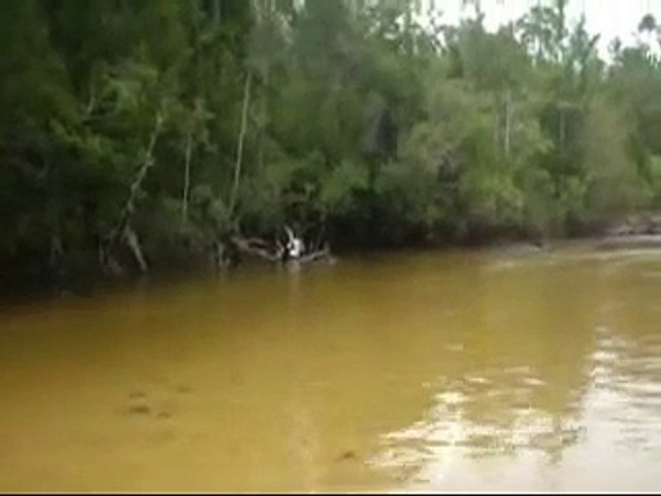 PRETTY MAIDS ALL IN A ROW ~ THE EAGLES ~ TO MY FRIENDS