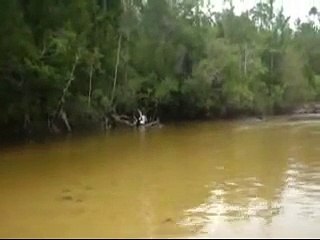 PRETTY MAIDS ALL IN A ROW ~ THE EAGLES ~ TO MY FRIENDS