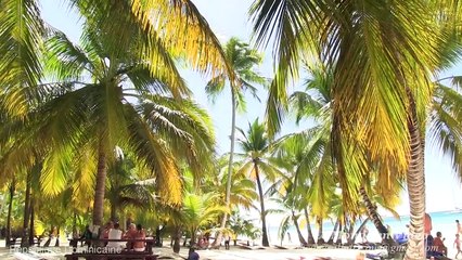 L'île Saona , île tropicale de la mer des Caraïbes