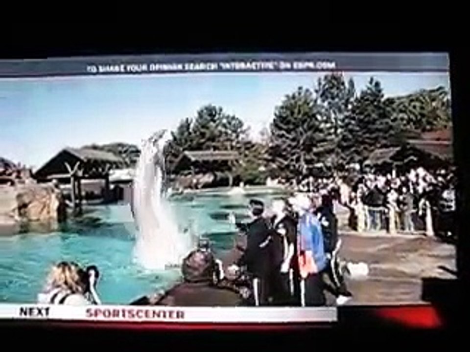 Steven Hodge Lights Up Kellen Moore Poinsettia Bowl 2008