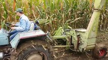 claas jaguar 40 siliranje kukuruza / maize forage harvester