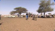 تسعمئة ألف يعانون من انعدام الأمن الغذائي بموريتانيا