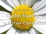 Como la Margarita - Alfredo De Ángelis - Carlos Dante y Oscar Larroca - con letra