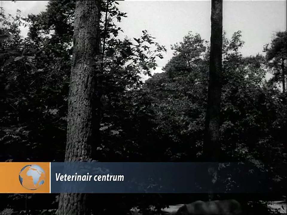 Veterinair centrum - 1975