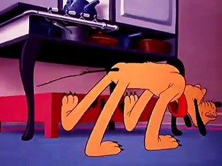 Corto Figaro y pluto - De dibujos animados de Walt Disney