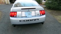 Walk around of my 2004 Mustang Cobra