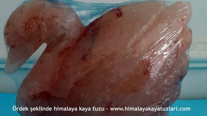 Ördek şeklinde himalaya kaya tuzu lambası