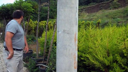 Beton direğe kaval kemiği vuruşu