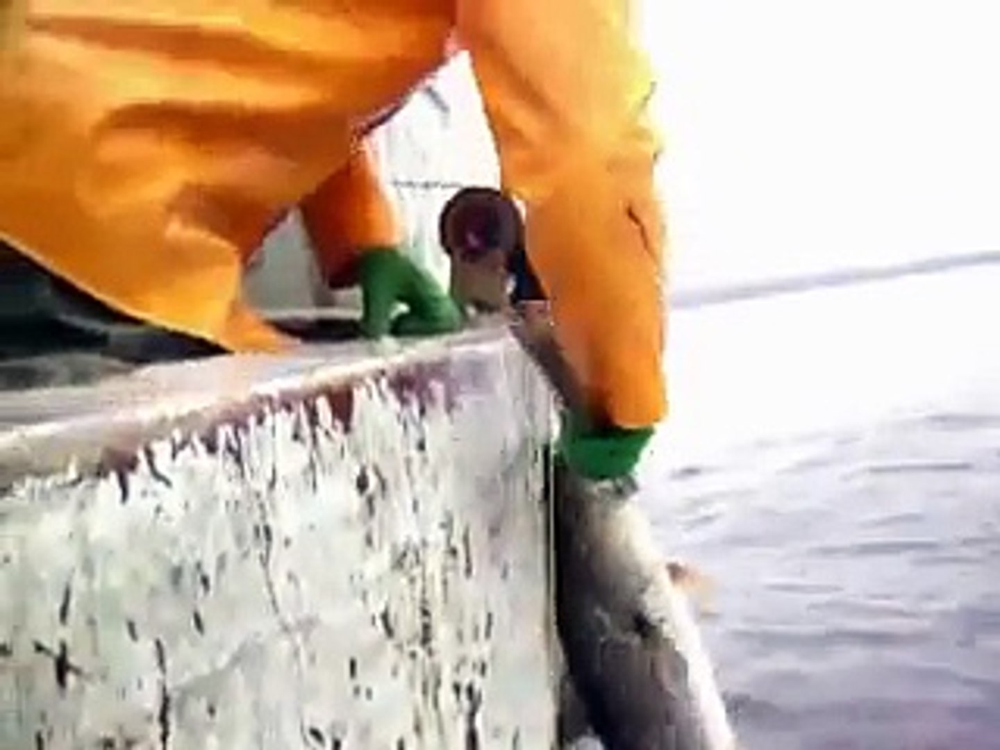 cod fishing