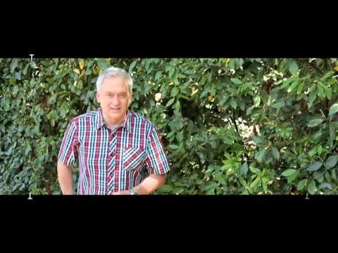 TV3 - Tria 33 (resum setmanal) - Tria 33 (resum setmanal) - capítol 5