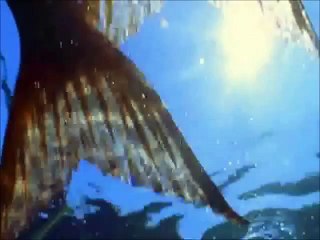 H2o Under The Sea French version (sous l'ocean)