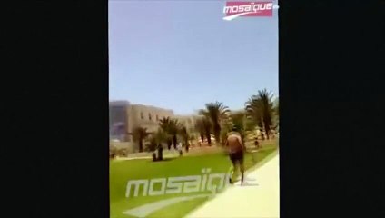 Attentat en Tunisie : des vidéos amateurs témoignent de l'horreur de l'attaque
