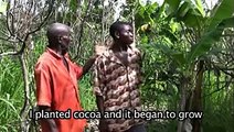 Cocoa producers in Côte d'Ivoire -- Created by the producers themselves