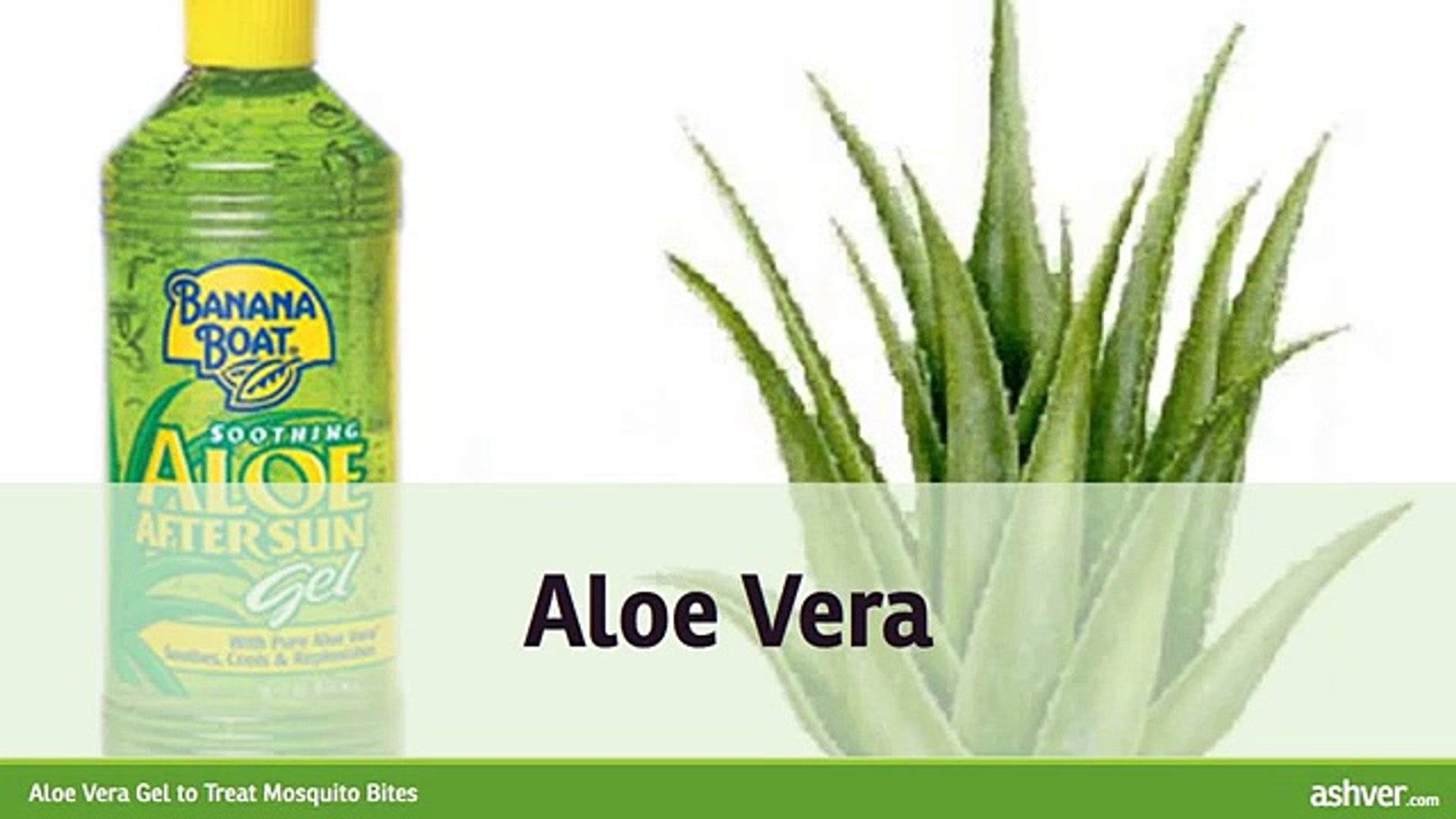 Aloe Vera Gel To Treat Mosquito Bites Video Dailymotion