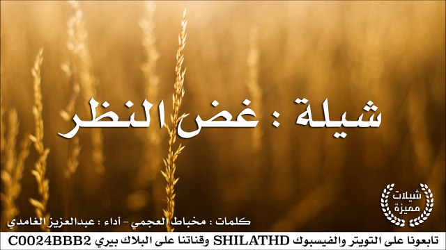 شيلة : غض النظر - أداء عبدالعزيز الغامدي | أصلي + مسرع | شيلات 2015