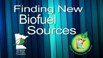 Biofuels as Renewable Energy: New Biofuel Sources