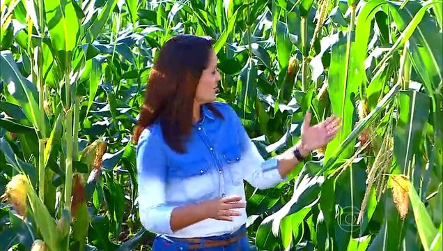 Assistir GLOBO REPÓRTER - Festas Juninas São João - 26-06-2015 parte 2/3 Completo