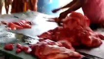 Chopping Fresh Fish for Cooking Cutlets