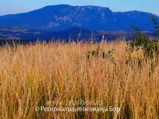 Permakulturno selo nadomak Bora, 27. jun 2015. (RTV Bor)