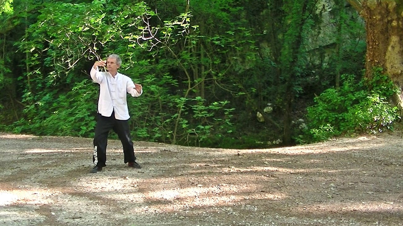 Tai-Chi-Chuan: cycle de l'"homme", deuxième partie du grand enchaînement, style Yang, école ETKI