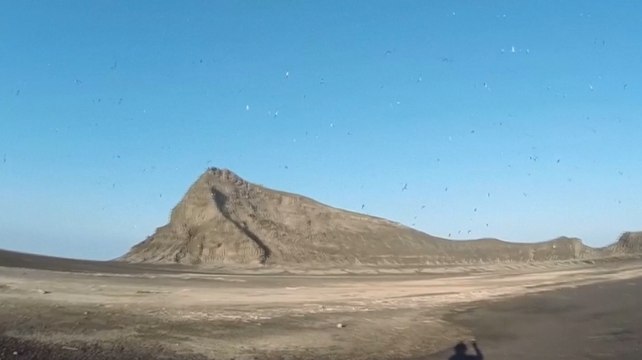 Visite guidée d'une île volcanique tout juste sortie des eaux du Pacifique